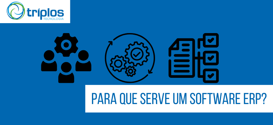 Leia mais sobre o artigo Para que Serve o Software ERP?